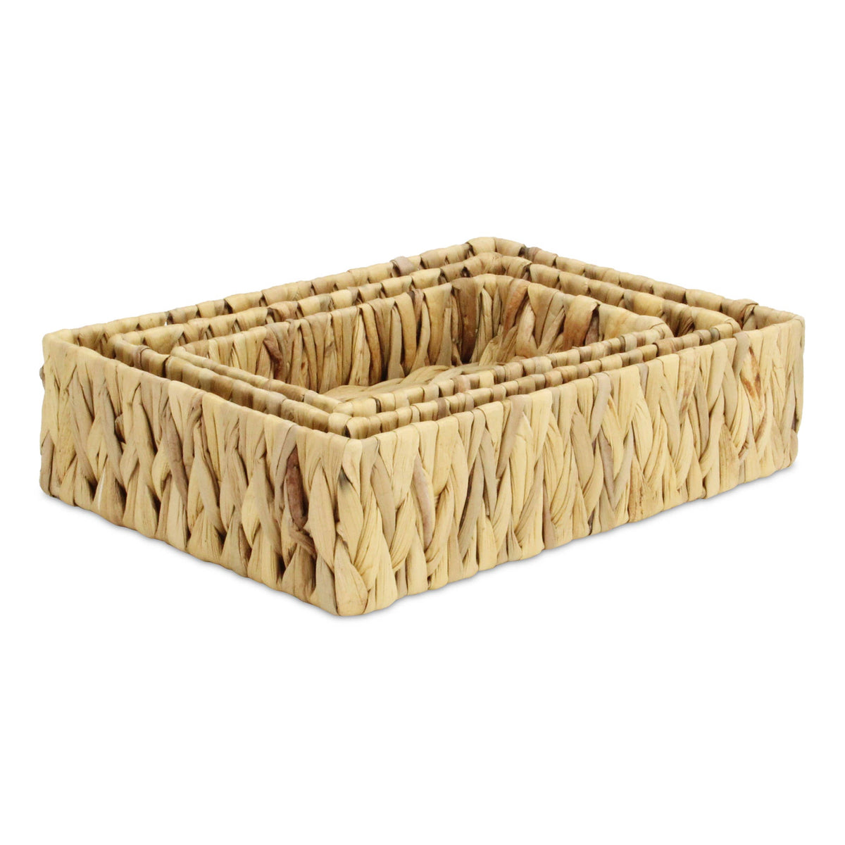 Laelia Hyacinth Woven Baskets (Set of 3)