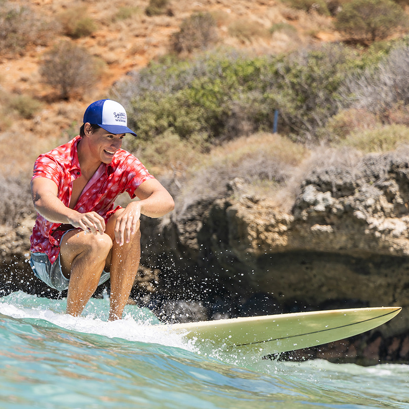 Silversword