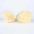 Sea Sponge - All Natural