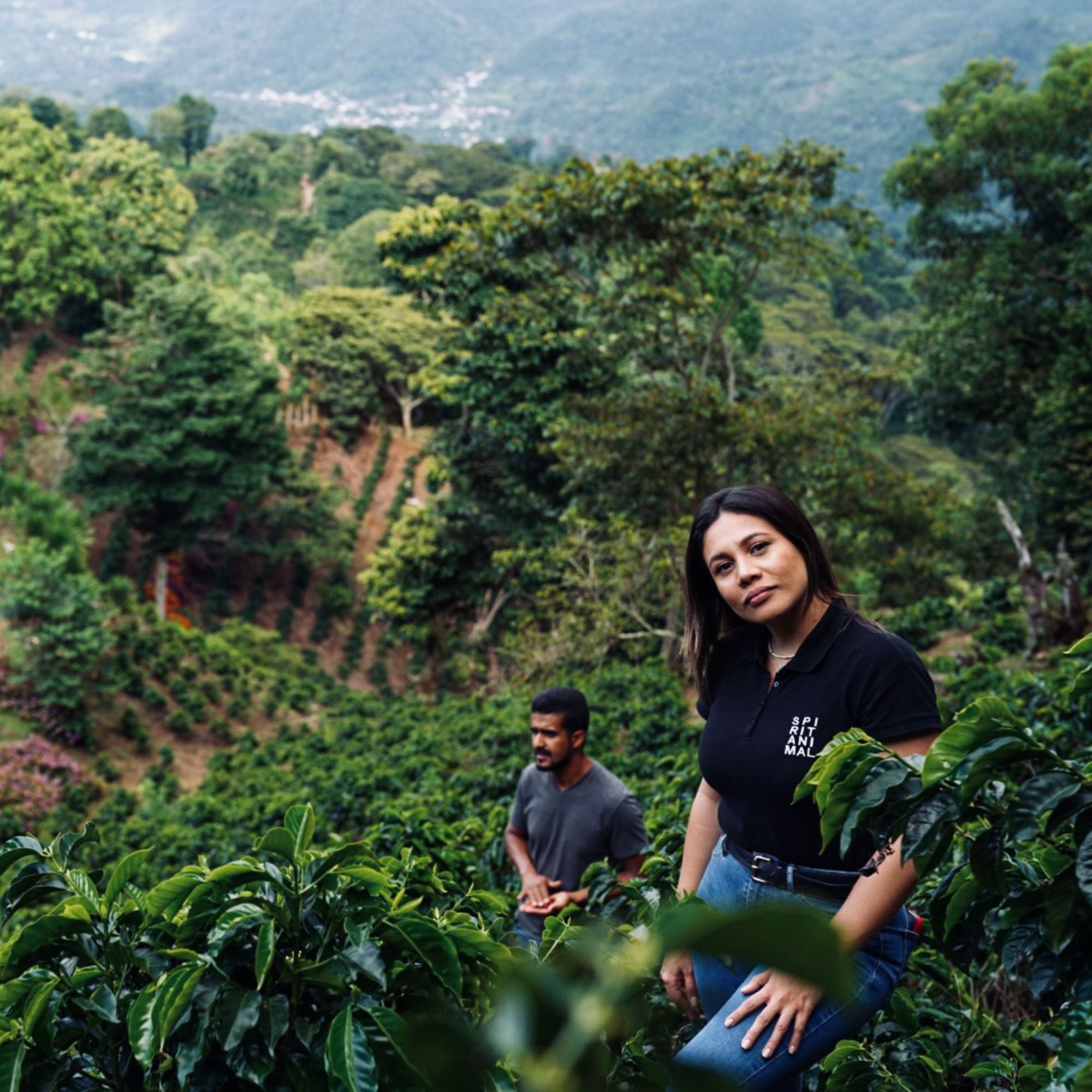 Honduras Dos Andres Gesha Washed
