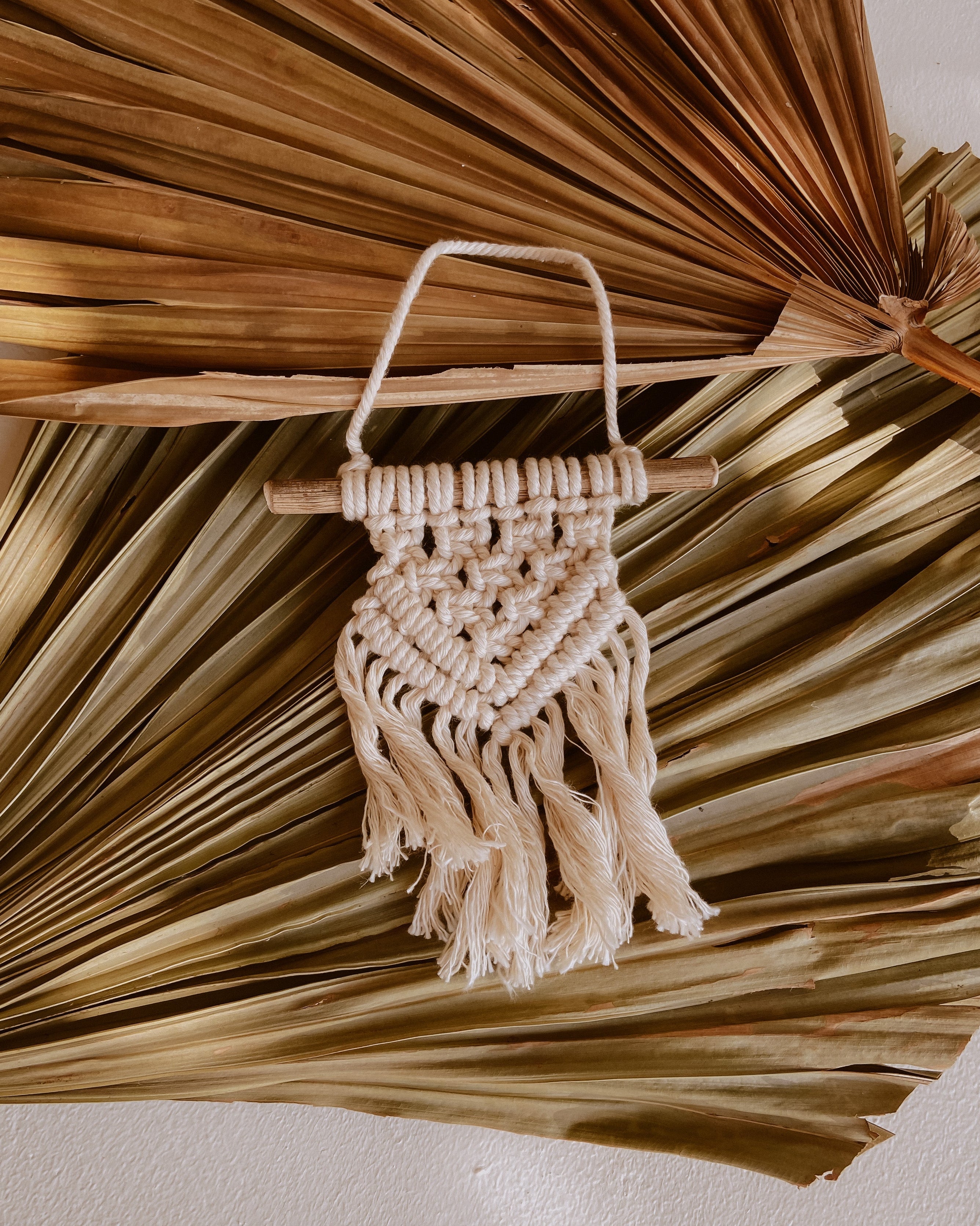 Ivy Small Macrame Wall Hanging