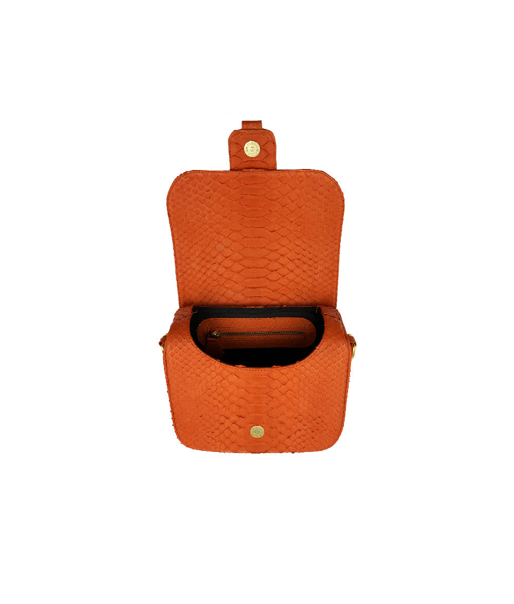 Kara in Tangerine