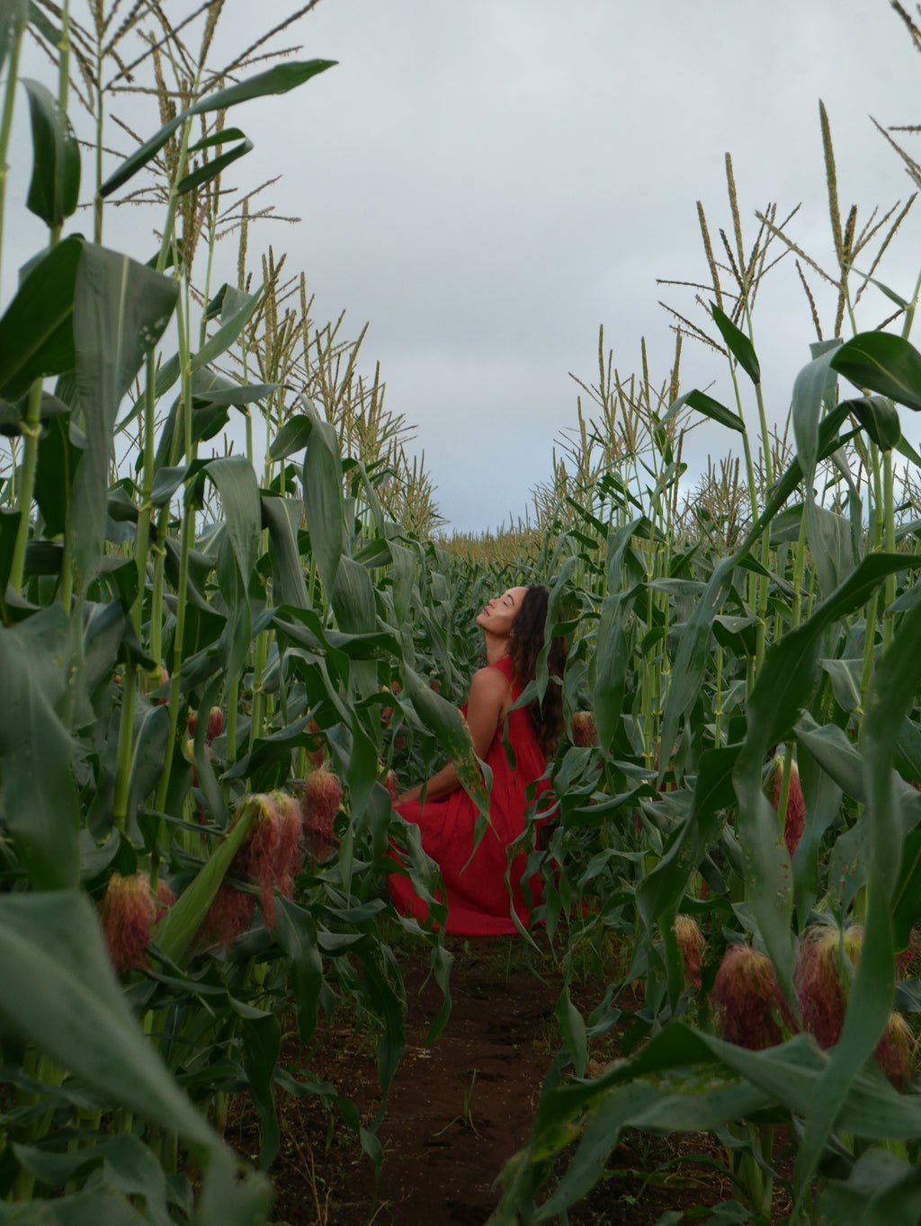 Model in a deep lychee-red cotton A-line dress with V-neckline and pockets, photographed on a Hilo farm.