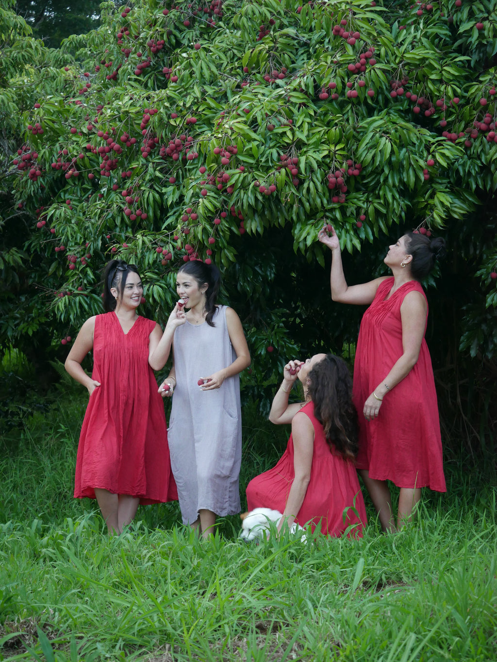 Model in a deep lychee-red cotton A-line dress with V-neckline and pockets, photographed on a Hilo farm.