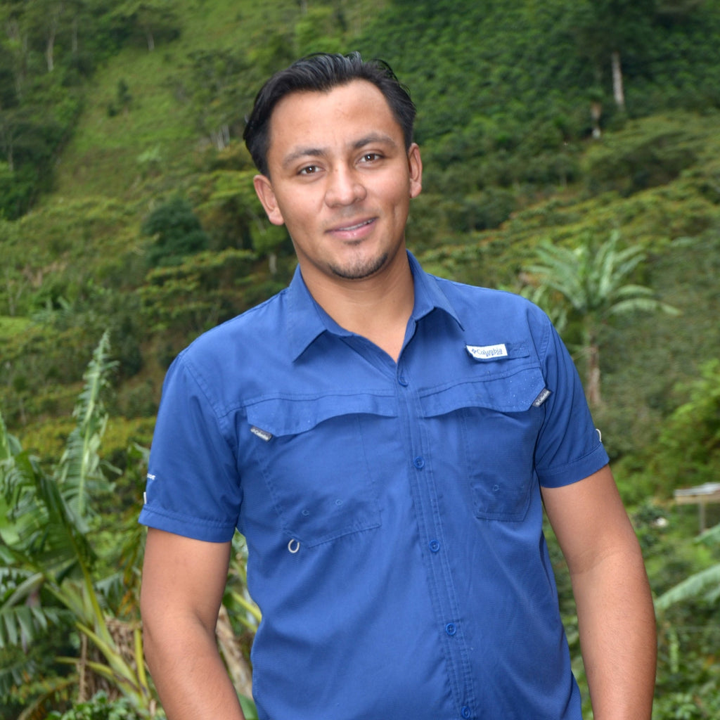 Honduras Paraideli Parainema Washed Parainema Cup of Excellence