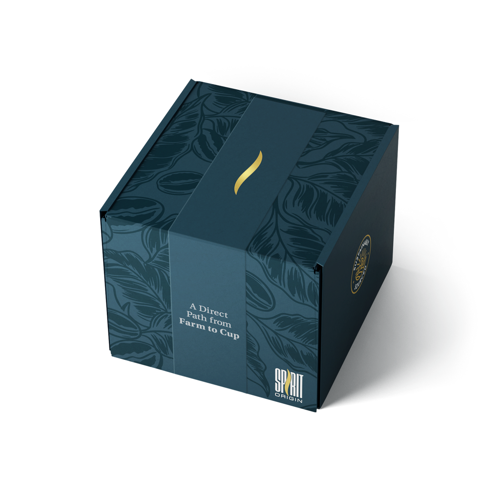 Single-Use Pour-Over Drip Bags - Mix Sample Set (Box of 10 Bags)