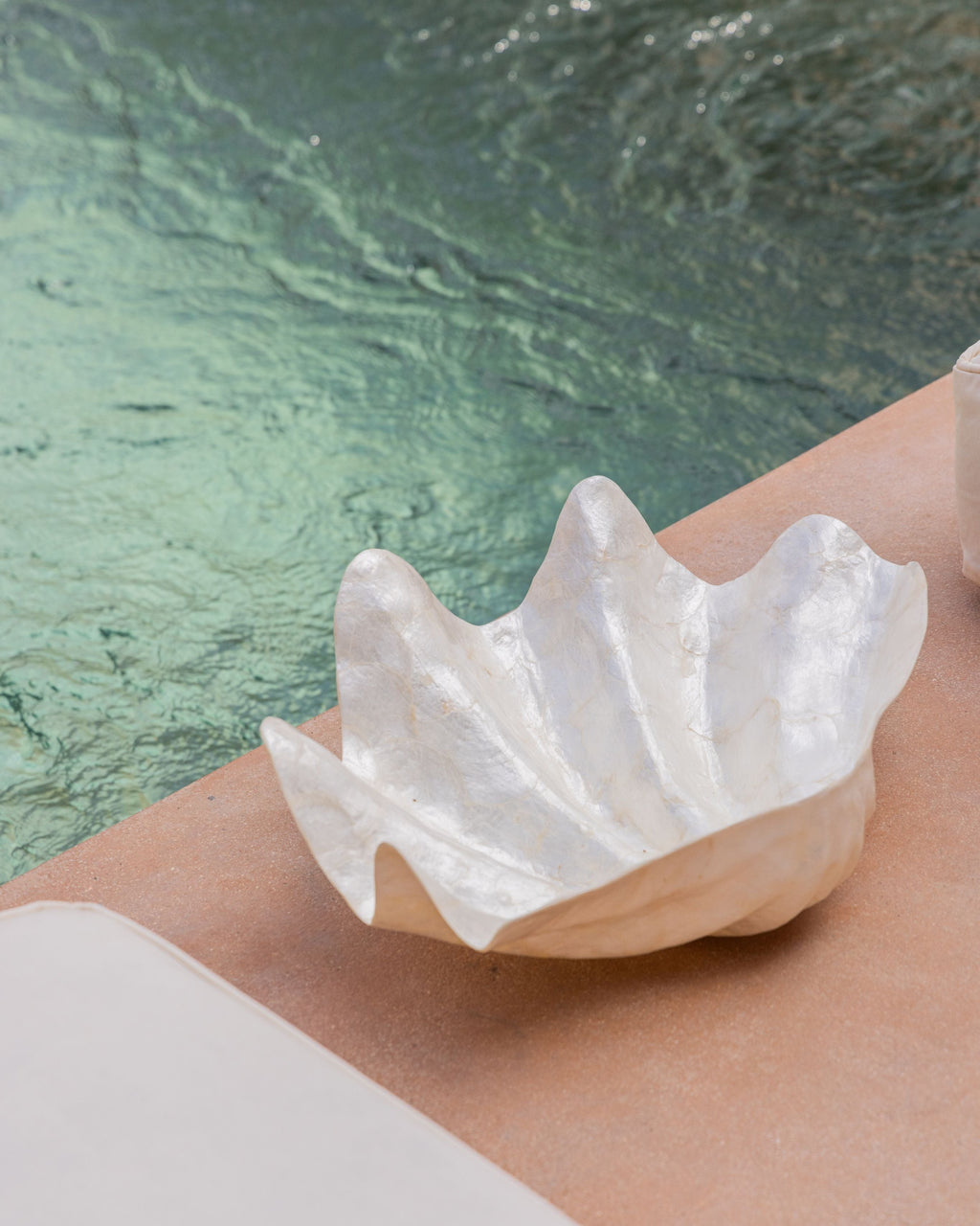 Clam Shell Bowl