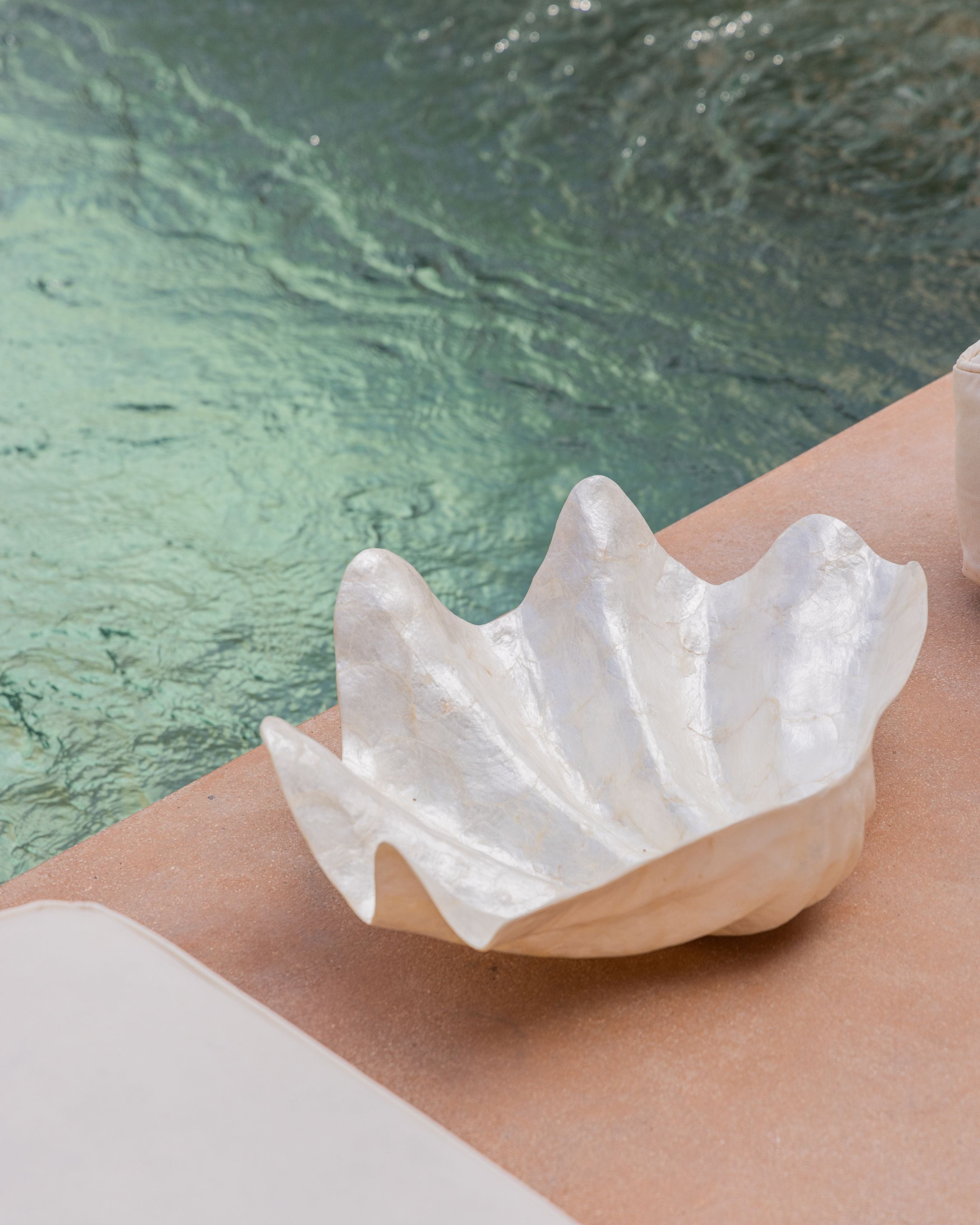 Clam Shell Bowl