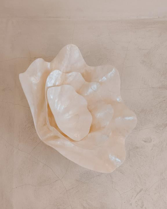 Clam Shell Bowl