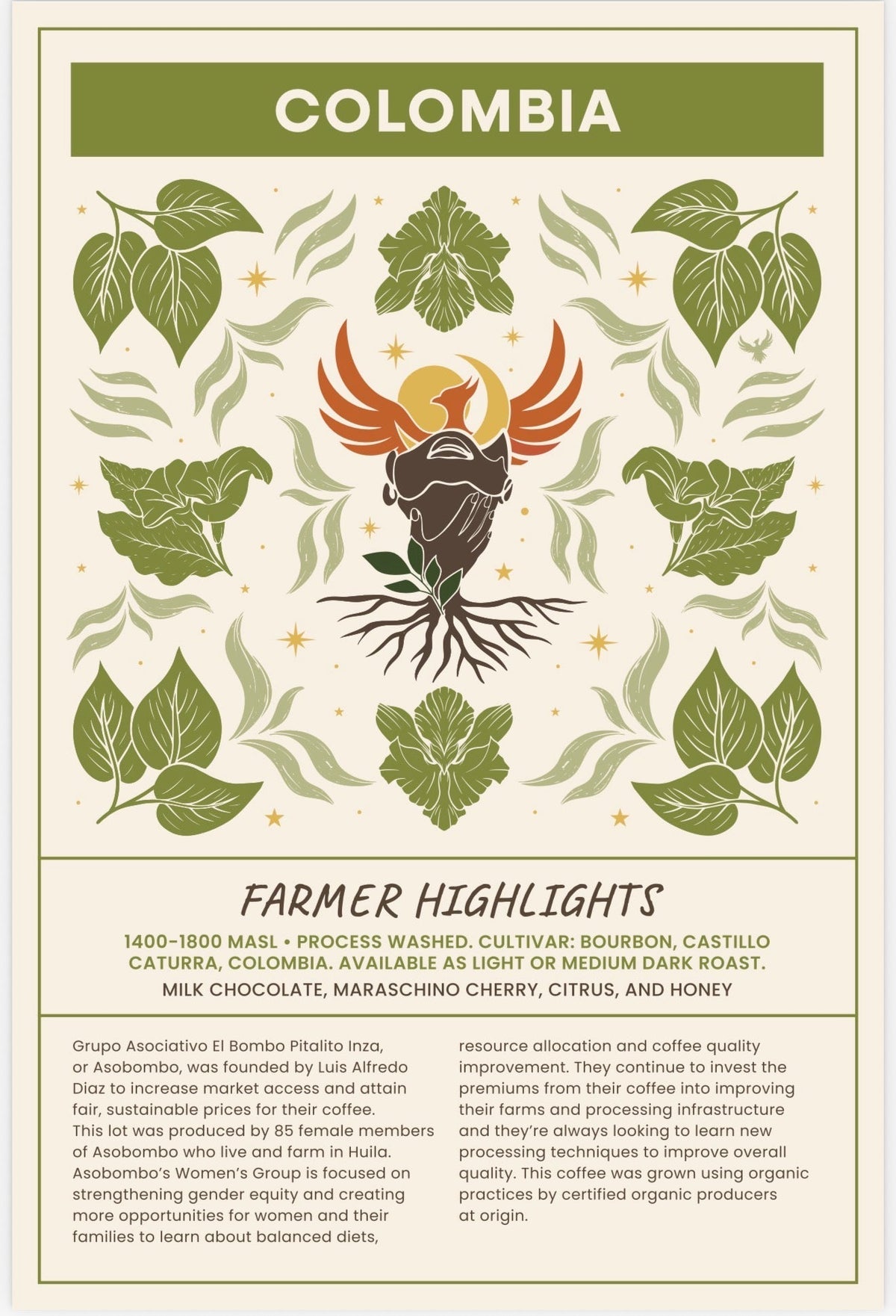 Colombia Coffee Light Roast ( Women Co Op) — Whole Bean Coffee