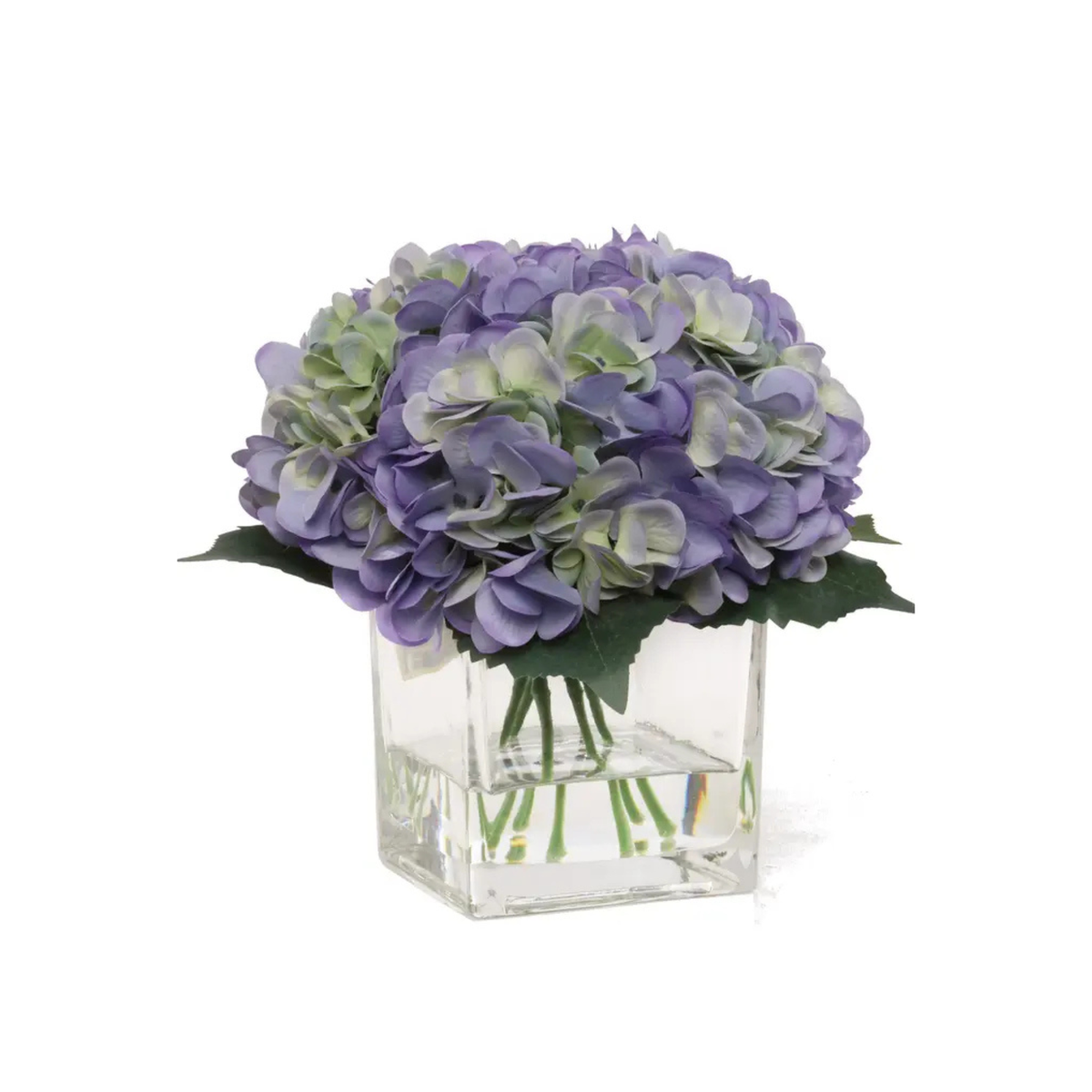 Blue & White Hydrangea Flowers In Glass Vase