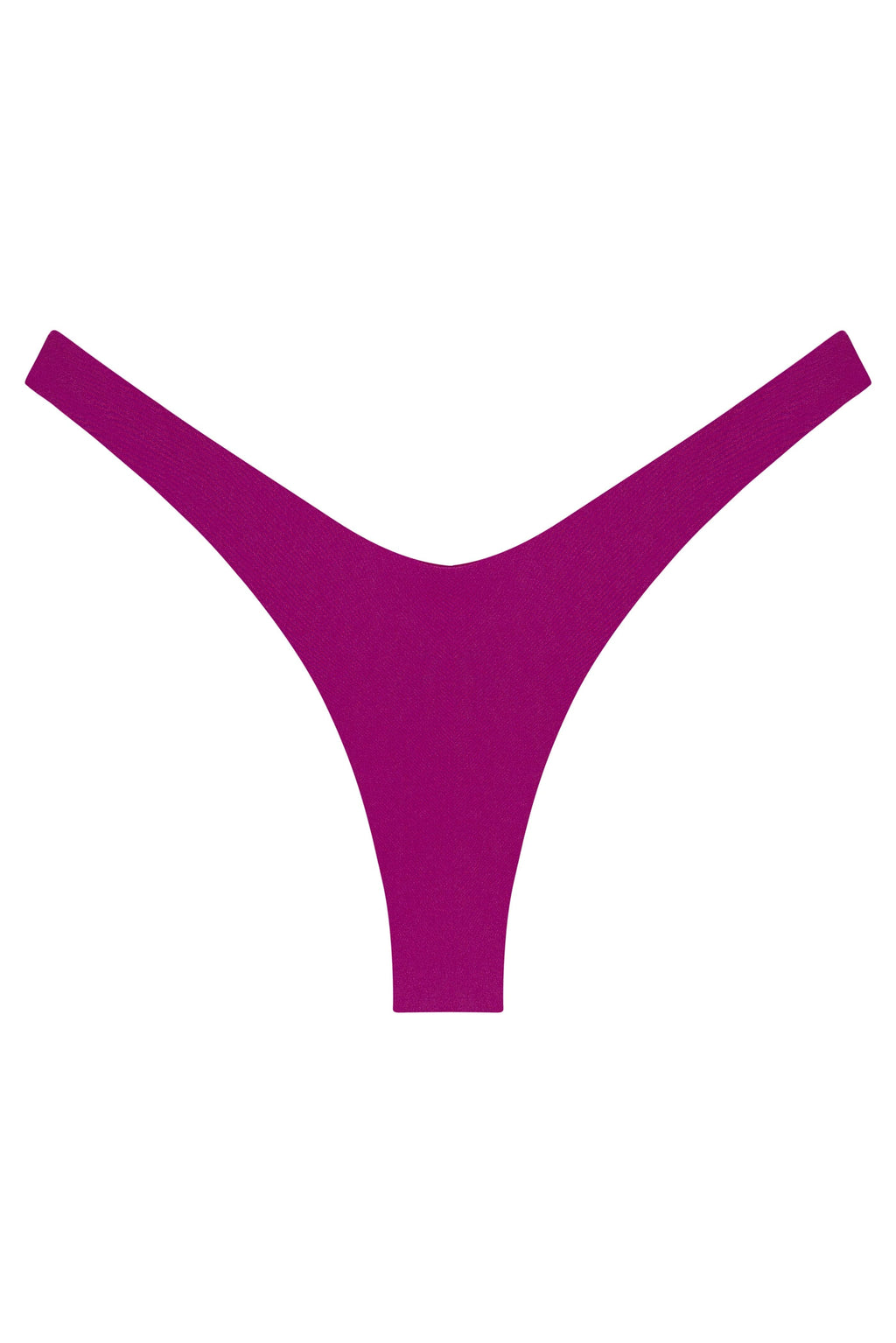 Ludisia Bottom