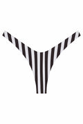 Ludisia Bottom