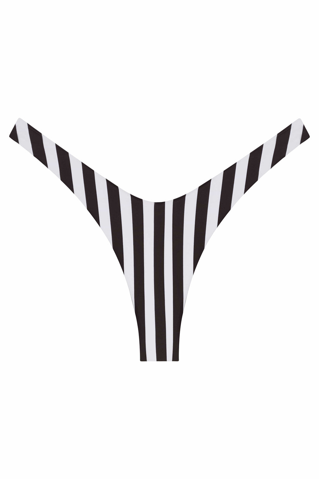 Ludisia Bottom