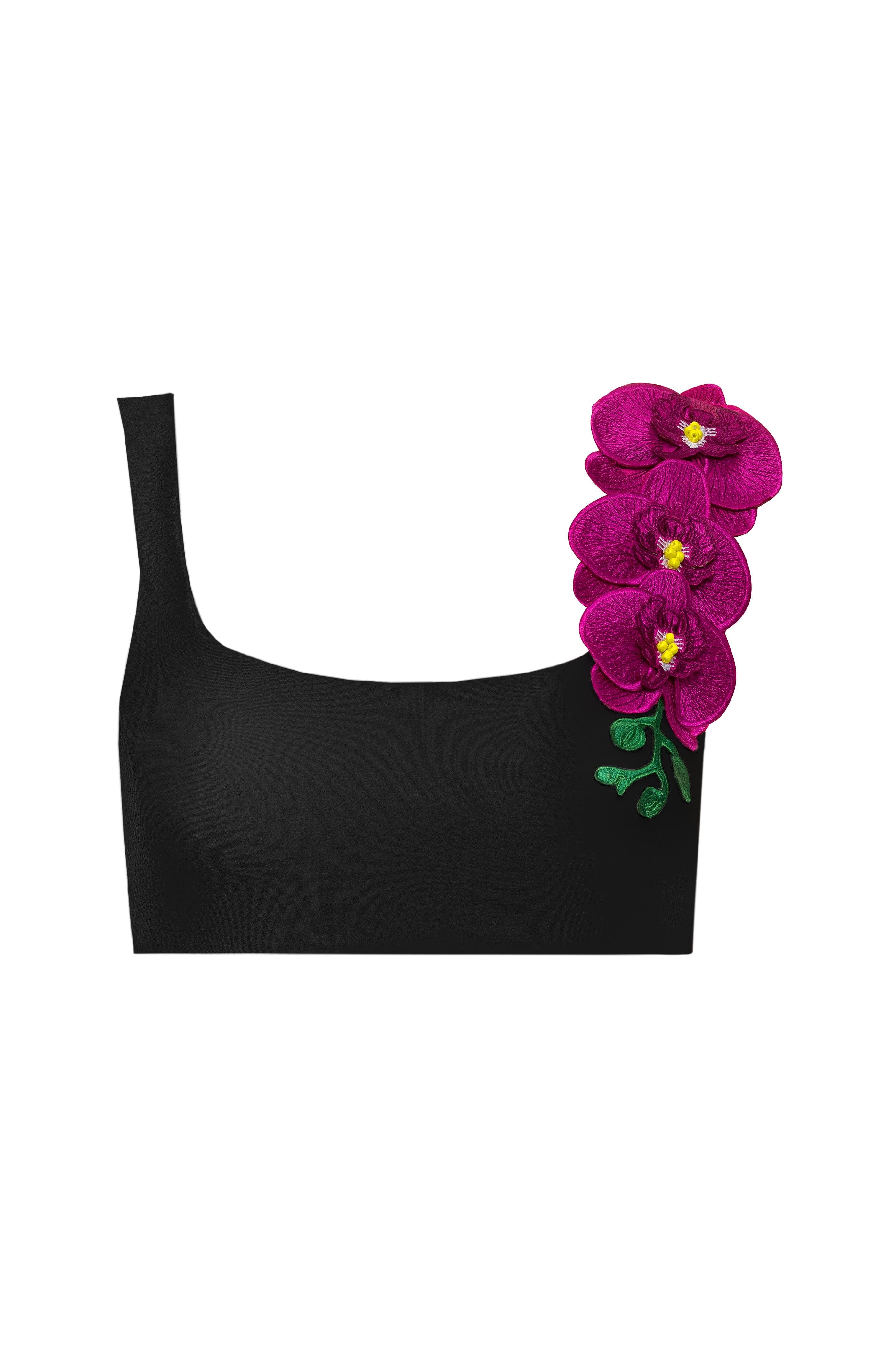Orchids of Biscayne Top