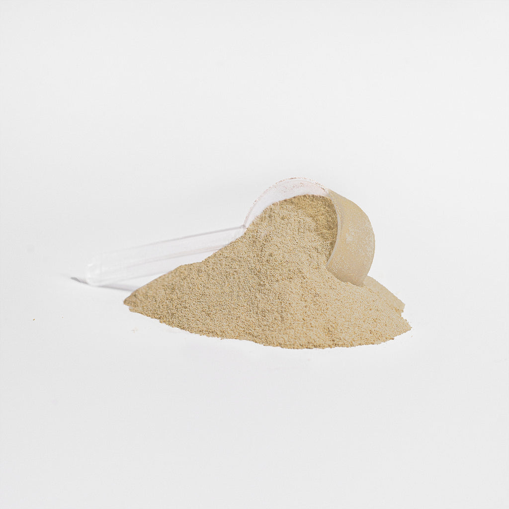 Plant Protein (Vanilla) — Whole Bean Coffee